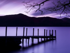 Purple Dusk