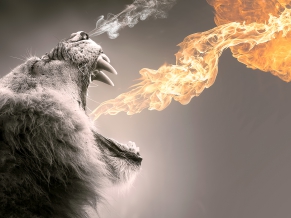 Roaring Flames