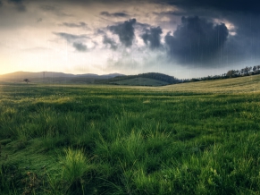 Spring Scenery