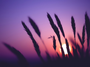 Sunset Time