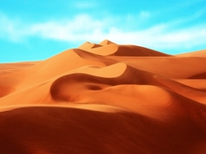 The Desert