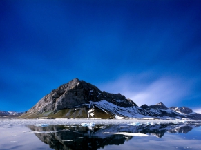 The Ice Flow