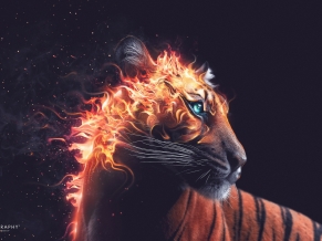 Tiger Fire