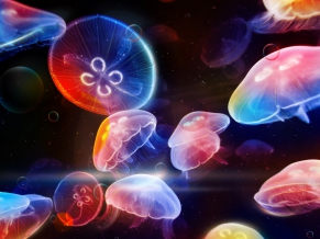 Underwater Jellyfishes