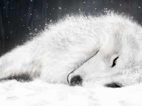 White Fox in ICE