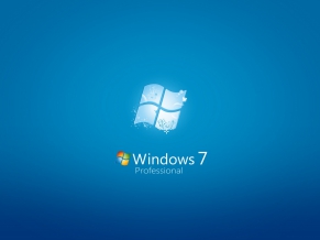 Windows 7 Professional