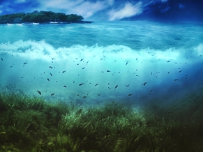 World of Sea