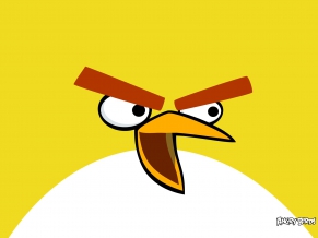 Yellow Bird in Angry Birds