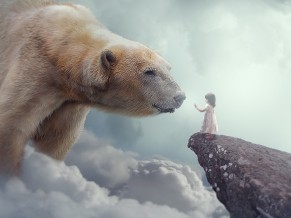 Polar bear Child Dream