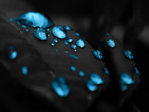 Blue Droplets