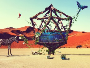 Desert Paradise
