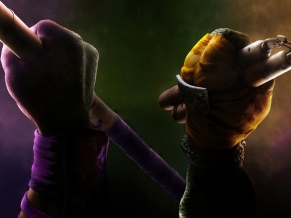Donatello Michelangelo TMNT 2014