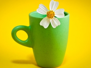 Flower Cup