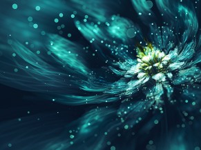 Fractal flower