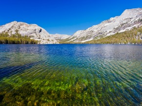 Tenaya Lake Yosemite National Park
