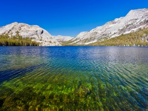 Tenaya Lake Yosemite National Park