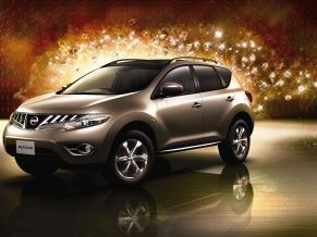 2010 Nissan murano