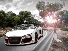 2014 Audi R8 V10 Spyder Regula Tuning