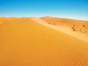 African Desert