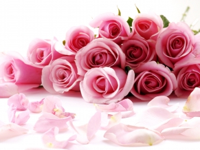 Awesome Roses