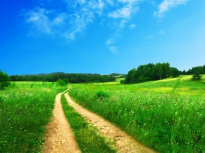 Beautiful Scenery