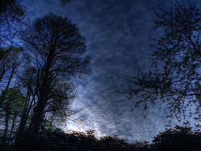 Blue Morning