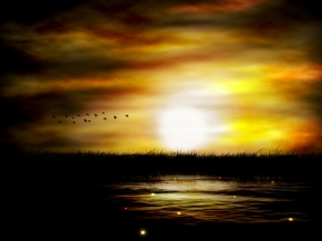 Dark Swamp