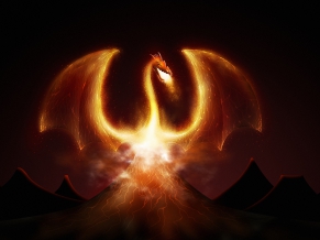 Dragon Fire
