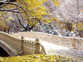 Fall Central Park New York