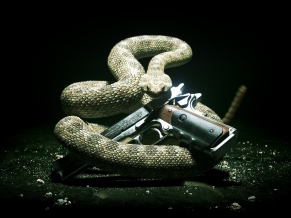 Hitman Absolution 2012 1