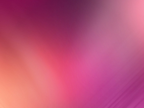 Pink Shades