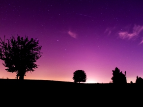 Pinky Night
