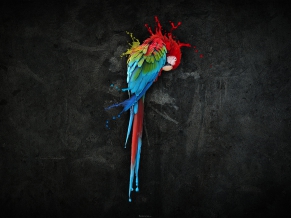 Pretty Parrot Splash