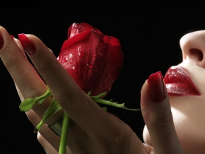 Red Rose & Lips