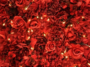 Red Roses Lights