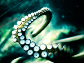 Release the Kraken