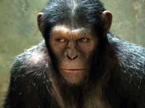 Rise of the Planet of the Apes Movie
