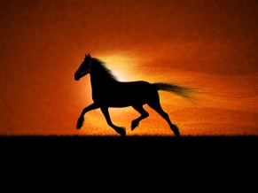 Running horse