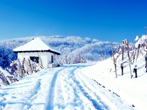 Snowy Cottage