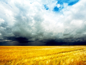 Storm Clouds