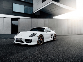 TechArt Porsche Cayman 2014