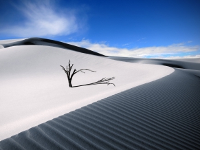 The Dune