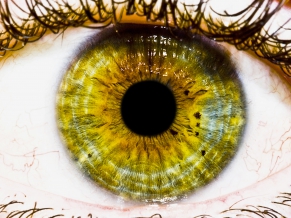 The Eye