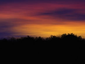 The Sunset