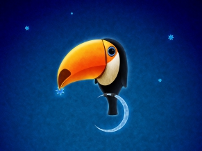 Toucan Bird