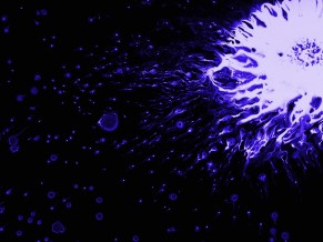 Violet Splash