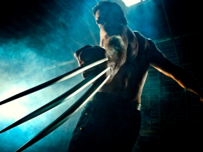 Wolverine