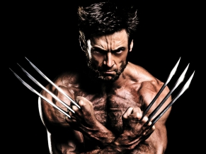 2013 The Wolverine