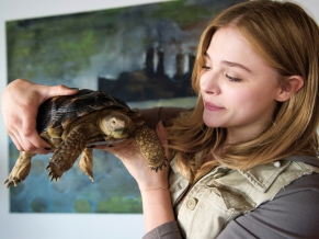Chloe Moretz in Laggies