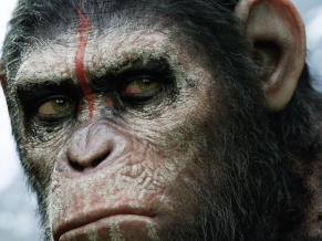 Dawn of the Planet of the Apes 2014